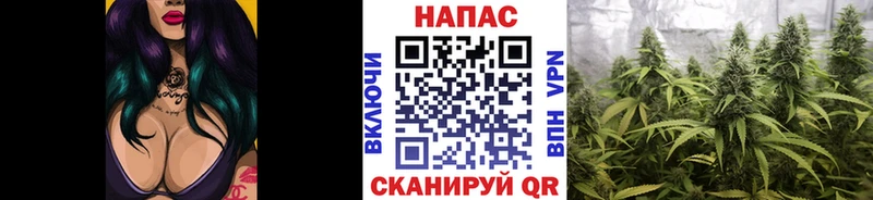 Купить НБОМе  МЕФ  Кокаин  A PVP  Злынка