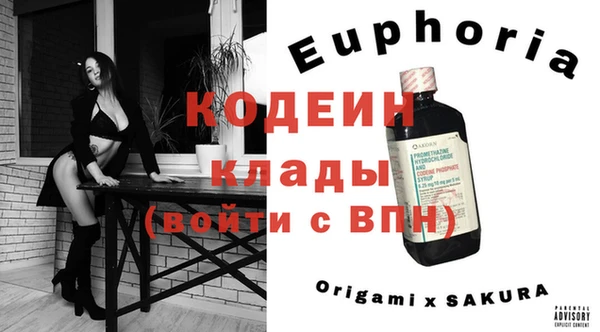 хмурый Дмитриев
