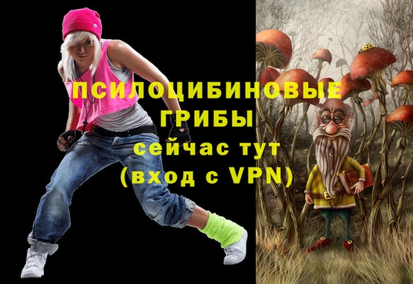 хмурый Дмитриев