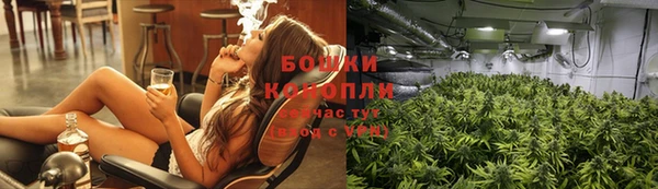 хмурый Дмитриев